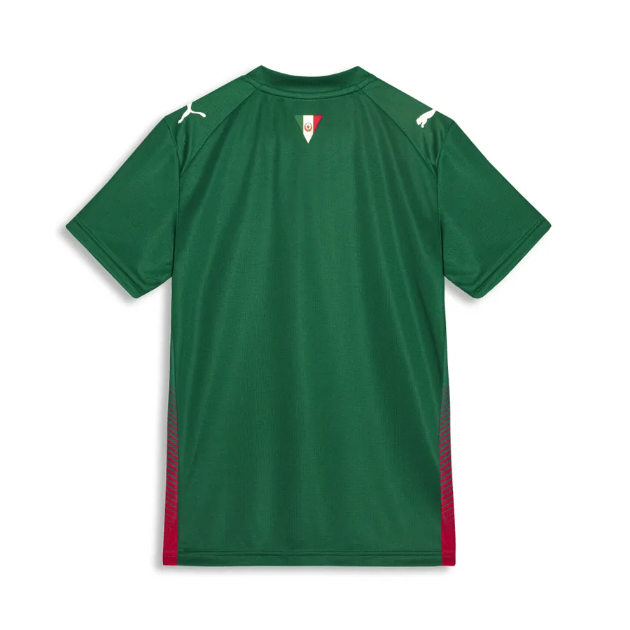 Camisa Palmeiras Puma I 26/27 Torcedor Infantil — costas