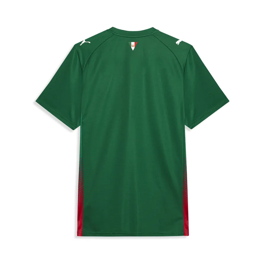 Camisa Palmeiras HOME 26 Torcedor Masculino — costas